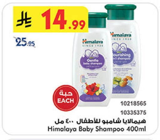 available at بن داود in مملكة العربية السعودية, السعودية, سعودية - المدينة المنورة