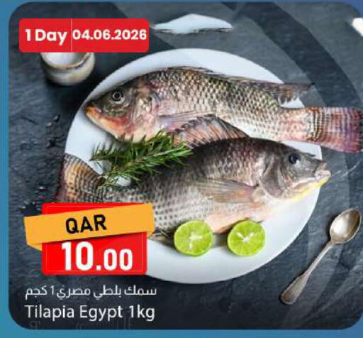 available at دانا ماركت in قطر - الريان