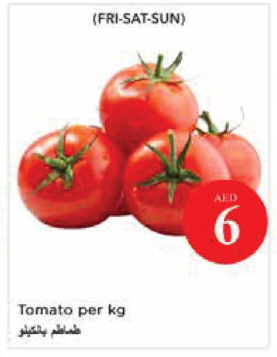 Tomato available at نستو هايبرماركت in الإمارات العربية المتحدة , الامارات - أبو ظبي