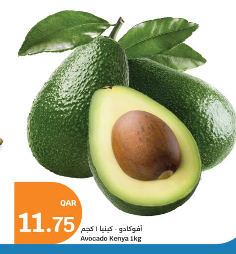 Avocado from Kenya available at سيتي هايبرماركت in قطر - الشمال