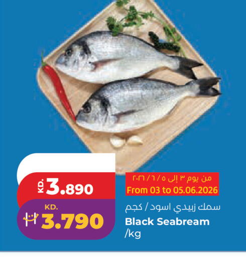 available at لولو هايبر ماركت in الكويت - محافظة الجهراء