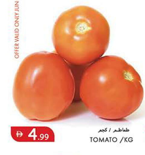 Tomato available at  روابي ماركت عجمان in الإمارات العربية المتحدة , الامارات - الشارقة / عجمان