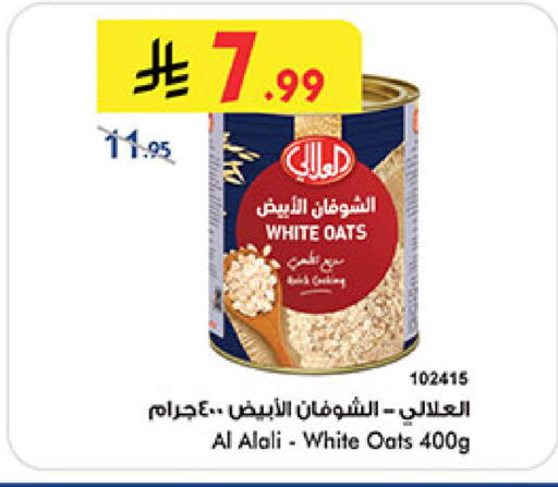 available at بن داود in مملكة العربية السعودية, السعودية, سعودية - المدينة المنورة