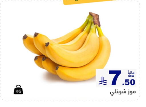 available at أسواق رامز in مملكة العربية السعودية, السعودية, سعودية - تبوك