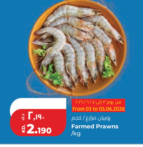 available at لولو هايبر ماركت in الكويت - محافظة الجهراء