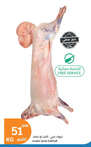 available at سيتي هايبرماركت in قطر - الشمال
