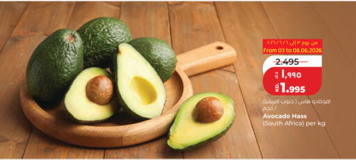 Avocado from South Africa available at Lulu Hypermarket  in Kuwait - Jahra Governorate