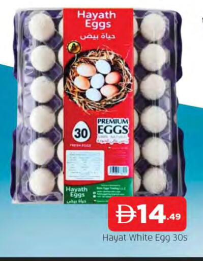 available at المدينة in الإمارات العربية المتحدة , الامارات - الشارقة / عجمان