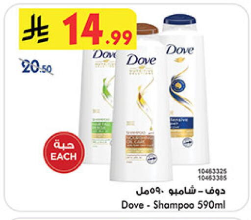 available at بن داود in مملكة العربية السعودية, السعودية, سعودية - المدينة المنورة