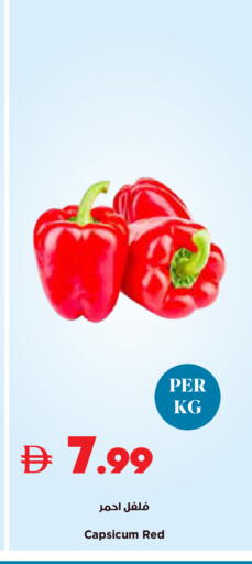 Capsicum available at تروليز سوبرماركت in الإمارات العربية المتحدة , الامارات - دبي
