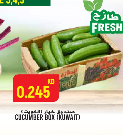 Cucumber from Kuwait available at  سابساه هايبر ماركت in الكويت - محافظة الجهراء