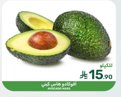 Avocado available at  مـزايــا in مملكة العربية السعودية, السعودية, سعودية - المنطقة الشرقية