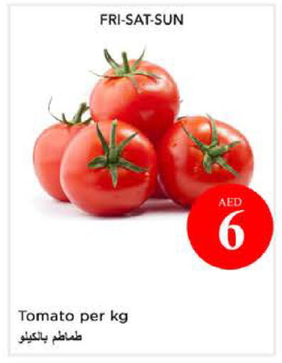 Tomato available at نستو هايبرماركت in الإمارات العربية المتحدة , الامارات - الشارقة / عجمان