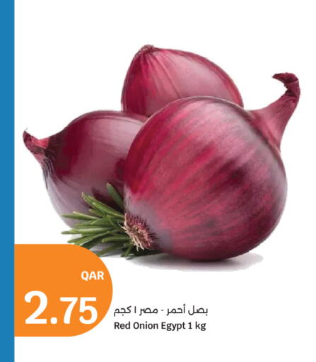 Onion from Egypt available at سيتي هايبرماركت in قطر - الشمال