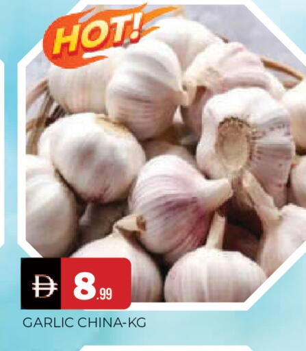 Garlic from China available at المدينة in الإمارات العربية المتحدة , الامارات - الشارقة / عجمان