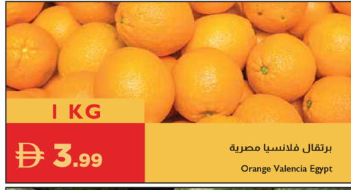 Orange from Egypt available at إسطنبول سوبرماركت in الإمارات العربية المتحدة , الامارات - ٱلْعَيْن‎