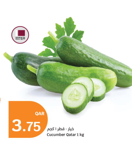 Cucumber from Qatar available at سيتي هايبرماركت in قطر - الشمال
