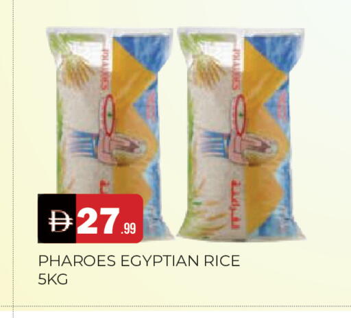 available at المدينة in الإمارات العربية المتحدة , الامارات - الشارقة / عجمان