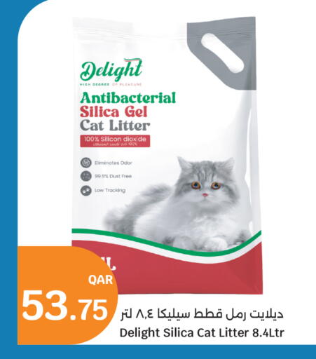 available at سيتي هايبرماركت in قطر - الشحانية