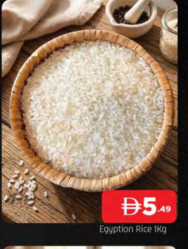 available at المدينة in الإمارات العربية المتحدة , الامارات - الشارقة / عجمان