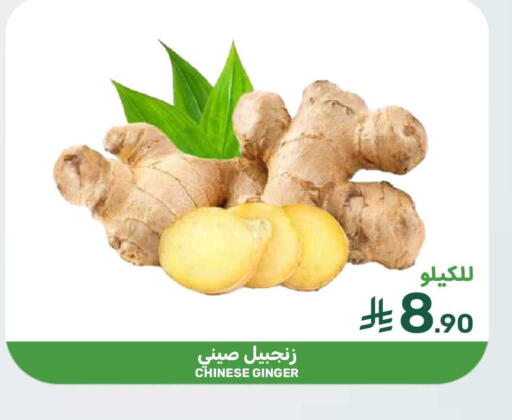 Ginger from China available at  مـزايــا in مملكة العربية السعودية, السعودية, سعودية - المنطقة الشرقية