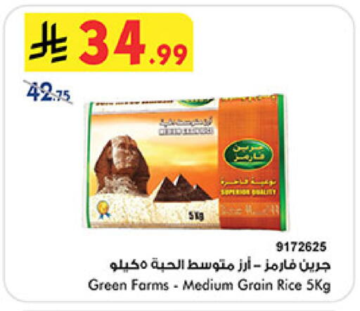 available at بن داود in مملكة العربية السعودية, السعودية, سعودية - المدينة المنورة