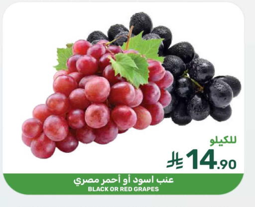 Grapes available at  مـزايــا in مملكة العربية السعودية, السعودية, سعودية - المنطقة الشرقية