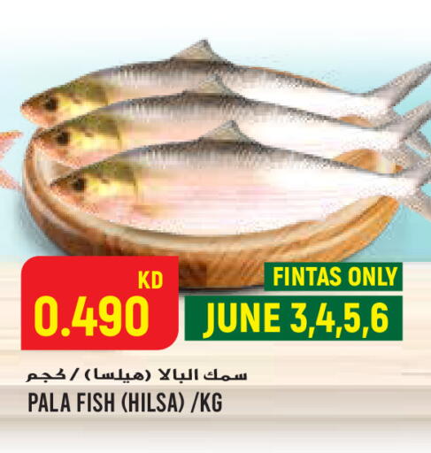 available at  سابساه هايبر ماركت in الكويت - محافظة الجهراء