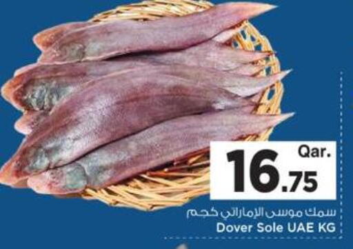 available at مارك & سيف in قطر - الريان