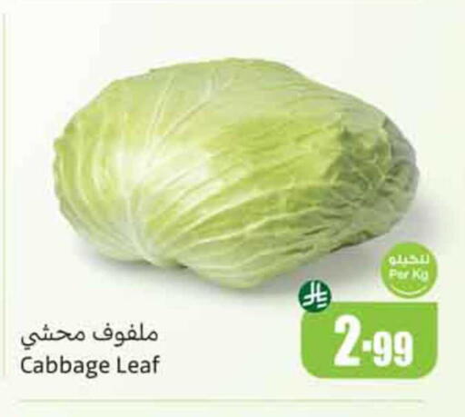 Cabbage available at أسواق عبد الله العثيم in مملكة العربية السعودية, السعودية, سعودية - أبها