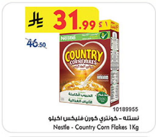 available at بن داود in مملكة العربية السعودية, السعودية, سعودية - المدينة المنورة