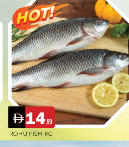 available at المدينة in الإمارات العربية المتحدة , الامارات - الشارقة / عجمان