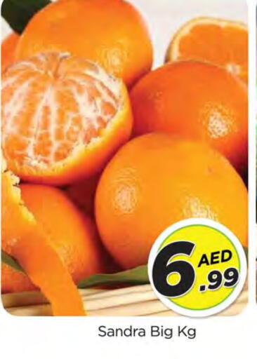 available at المدينة in الإمارات العربية المتحدة , الامارات - الشارقة / عجمان