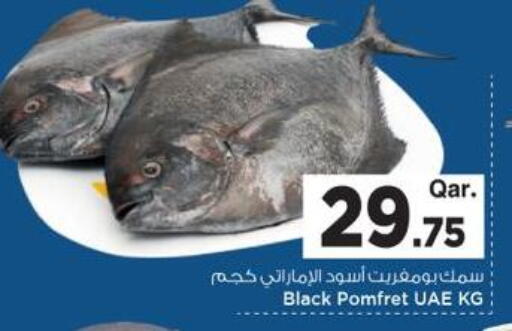 available at مارك & سيف in قطر - الريان