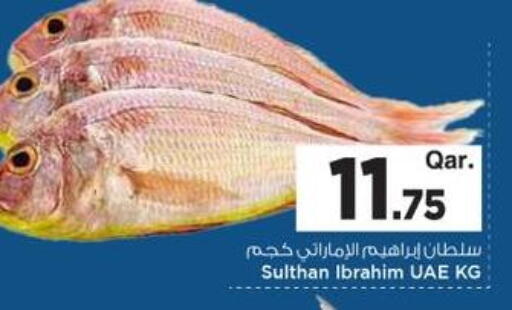 available at مارك & سيف in قطر - الريان