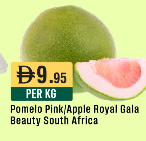 Apple from South Africa available at West Zone Supermarket in UAE - Abu Dhabi