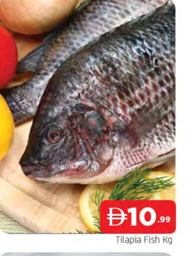 available at المدينة in الإمارات العربية المتحدة , الامارات - الشارقة / عجمان