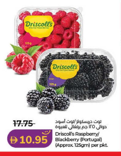 Raspberry Blackberry from Portugal available at لولو هايبرماركت in الإمارات العربية المتحدة , الامارات - الشارقة / عجمان