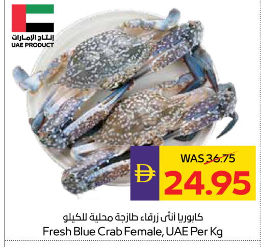 available at أدكووب in الإمارات العربية المتحدة , الامارات - أبو ظبي