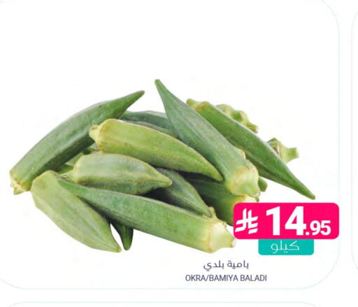 Okra available at اسواق المنتزه in مملكة العربية السعودية, السعودية, سعودية - المنطقة الشرقية
