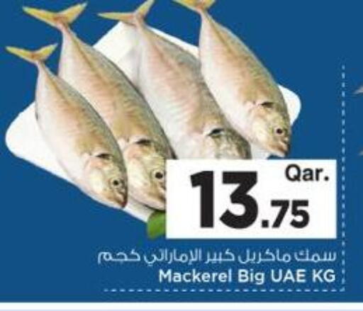 available at مارك & سيف in قطر - الريان