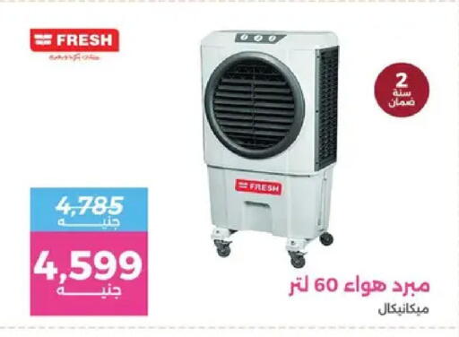 available at Raneen in Egypt - Cairo