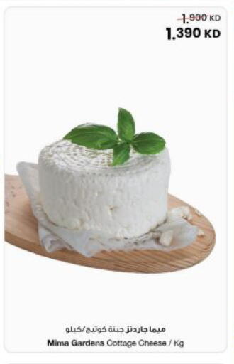 available at مركز سلطان in الكويت - محافظة الجهراء