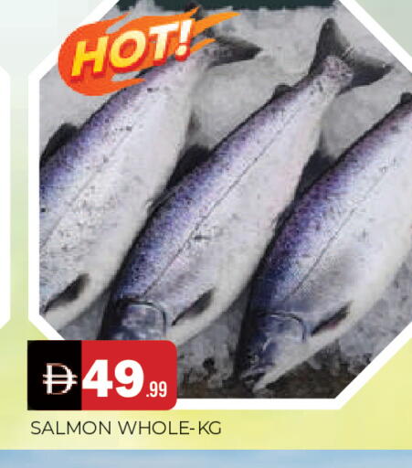 available at المدينة in الإمارات العربية المتحدة , الامارات - الشارقة / عجمان