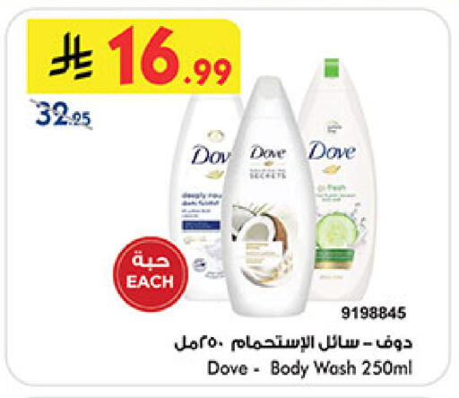 available at بن داود in مملكة العربية السعودية, السعودية, سعودية - المدينة المنورة