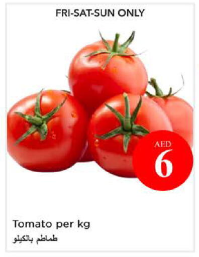 Tomato available at نستو هايبرماركت in الإمارات العربية المتحدة , الامارات - الشارقة / عجمان