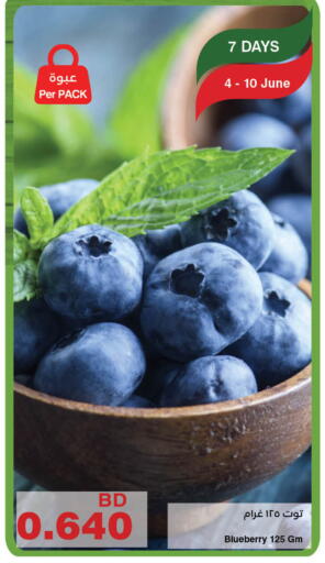 Blueberry BlueBerry available at HyperMax in Bahrain