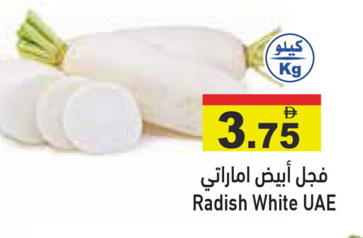 Radish available at أسواق رامز in الإمارات العربية المتحدة , الامارات - دبي