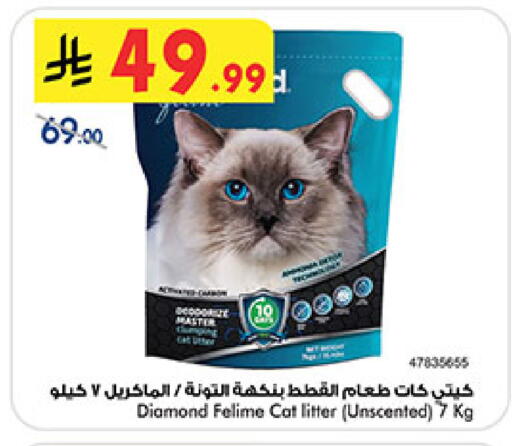 available at بن داود in مملكة العربية السعودية, السعودية, سعودية - المدينة المنورة