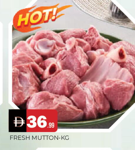 available at المدينة in الإمارات العربية المتحدة , الامارات - الشارقة / عجمان